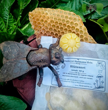 Bienenwachs- als Kosmetikrohstoff & Teelichter aus eigener Imkerei | 100 % Bienenwachs