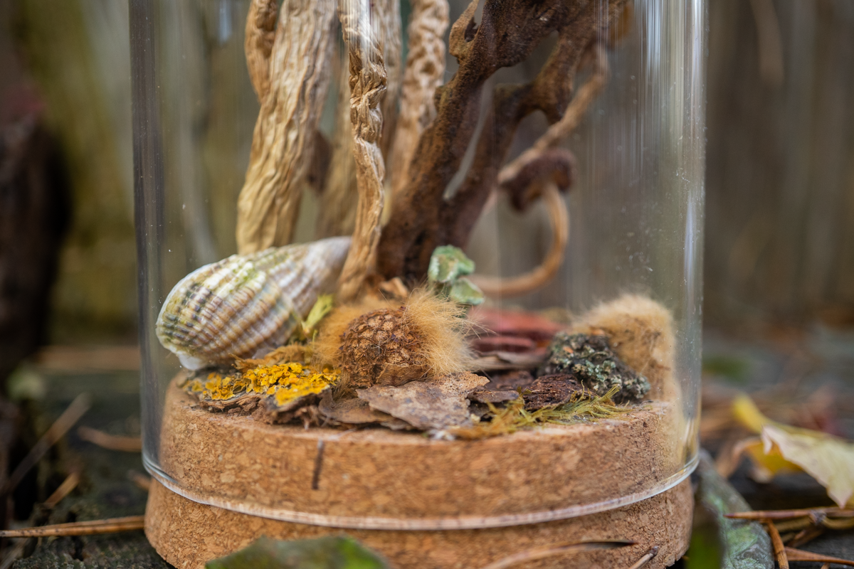 Wald im Glas - Glaskuppel