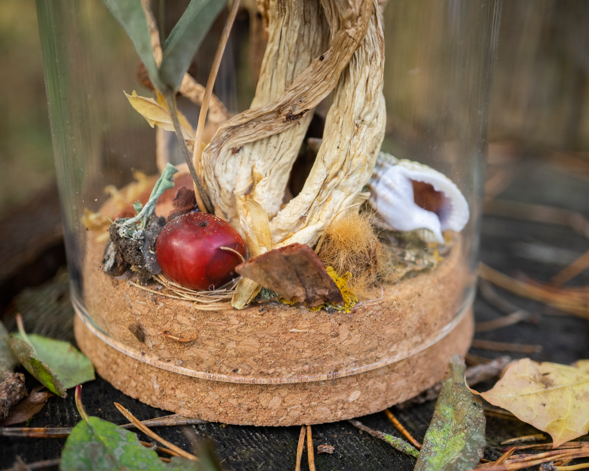 Wald im Glas - Glaskuppel