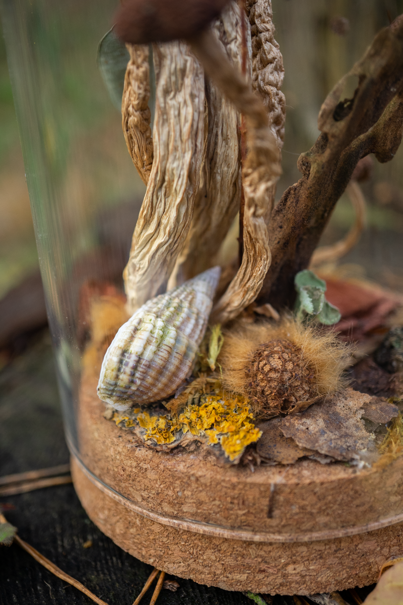 Wald im Glas - Glaskuppel