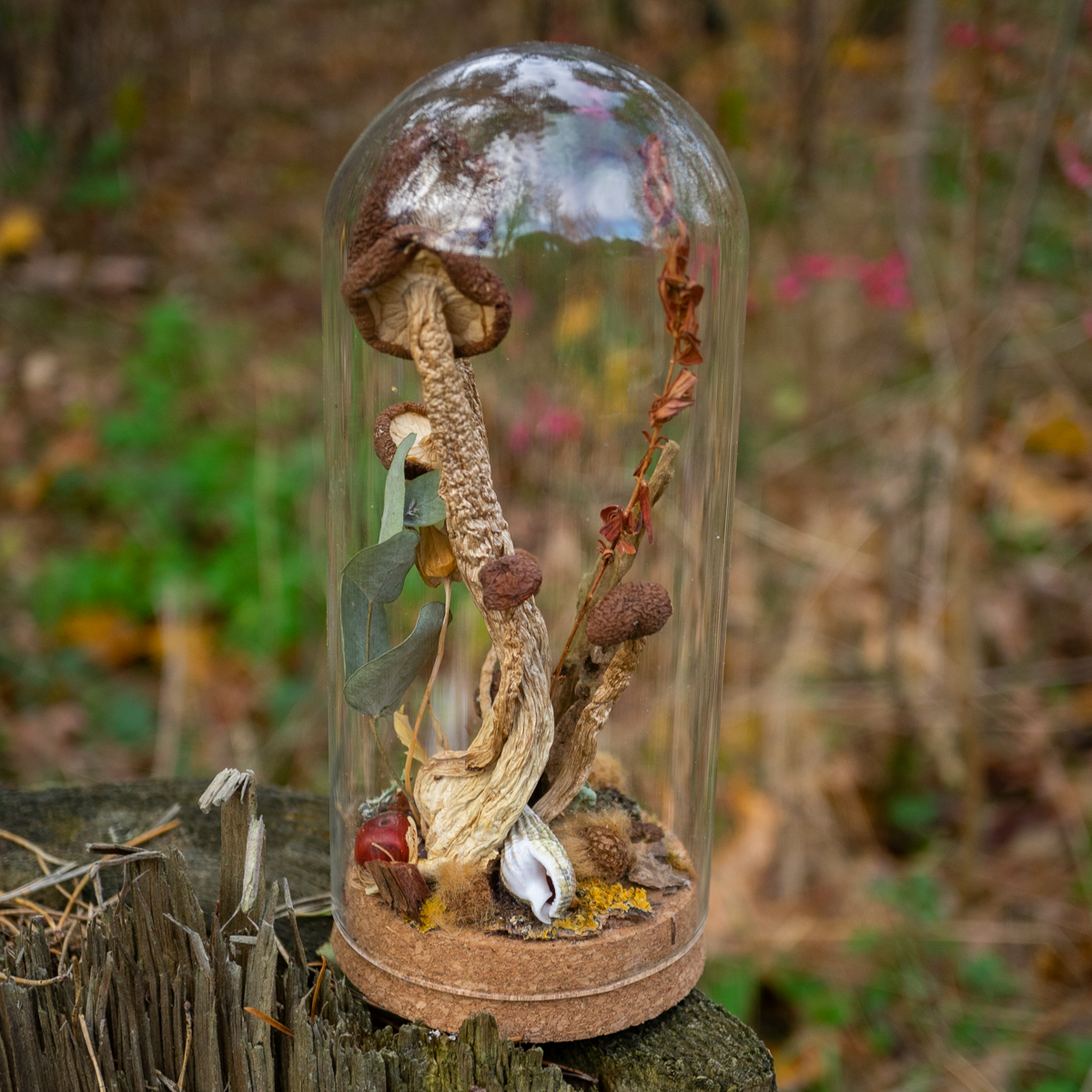 Wald im Glas - Glaskuppel