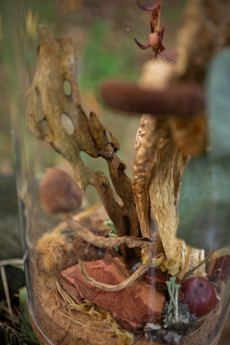 Wald im Glas - Glaskuppel