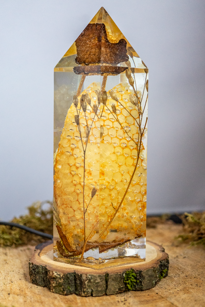 Die Struktur des Lichts - Honigwabe mit Buchenrübling