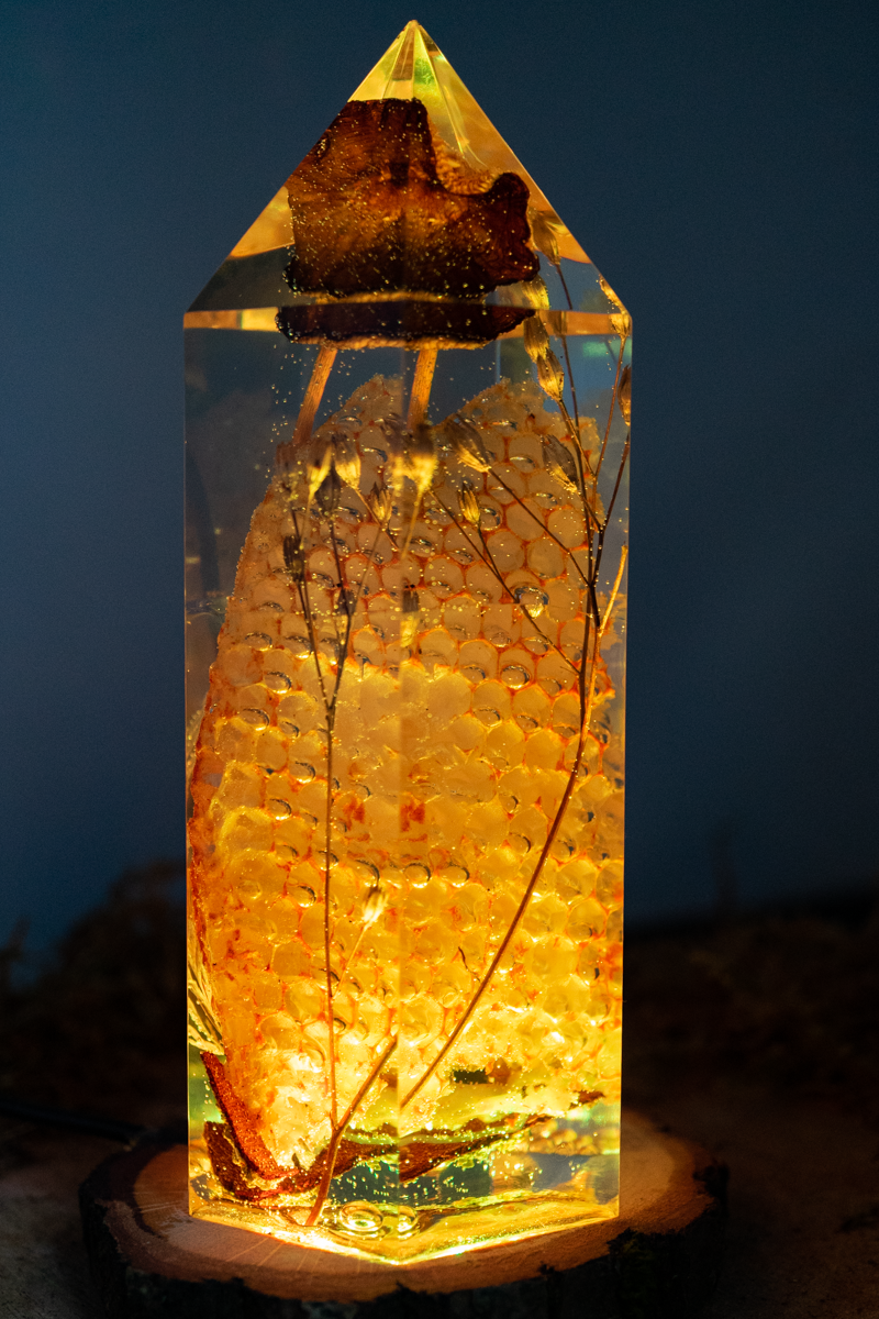 Die Struktur des Lichts - Honigwabe mit Buchenrübling