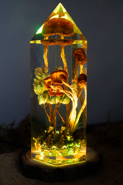 Vom Rhythmus des Bodens - Südliche Ackerlinge mit Lupinenblüte