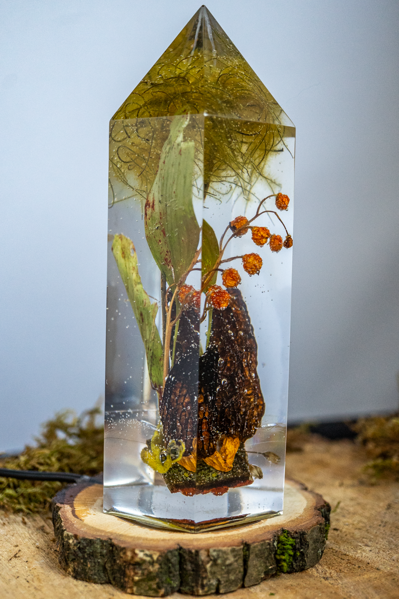 Das Gedächtnis der Blüten - Speisemorchel mit Blütenständen