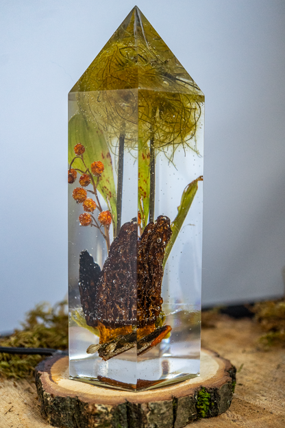 Das Gedächtnis der Blüten - Speisemorchel mit Blütenständen