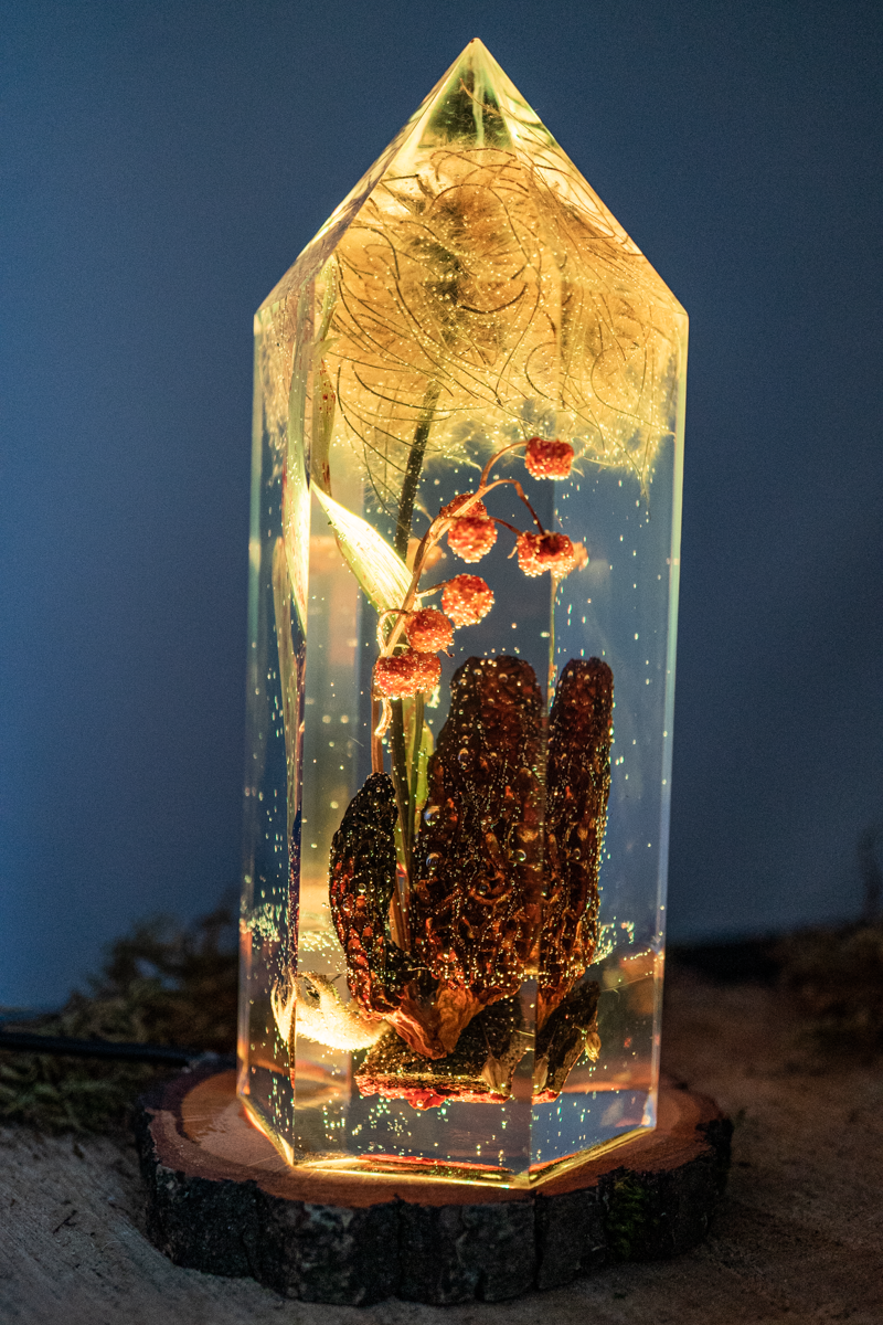 Das Gedächtnis der Blüten - Speisemorchel mit Blütenständen