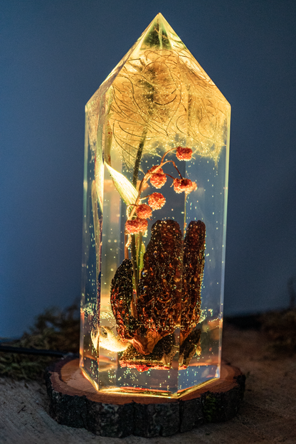 Das Gedächtnis der Blüten - Speisemorchel mit Blütenständen