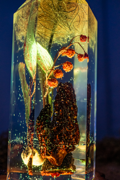 Das Gedächtnis der Blüten - Speisemorchel mit Blütenständen