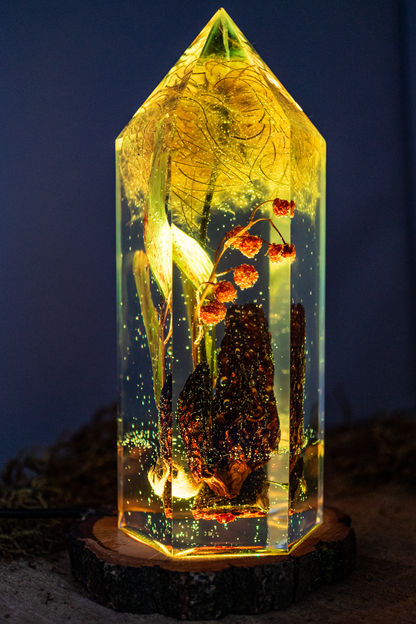 Das Gedächtnis der Blüten - Speisemorchel mit Blütenständen