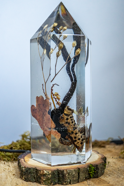 Fragment eines Waldbodens - Holzkeule trifft Kohlenbeere