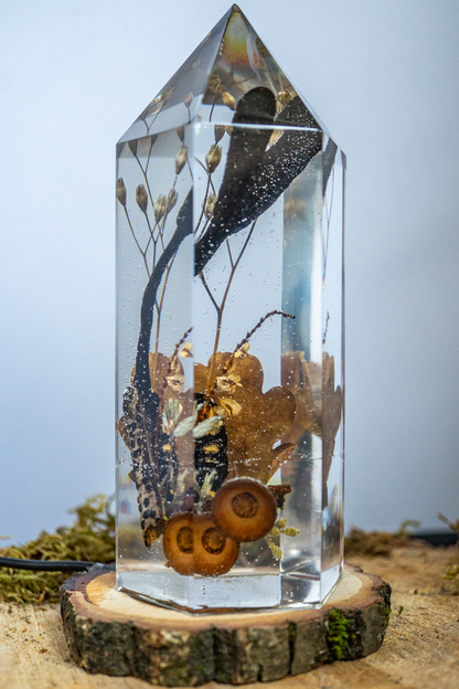 Fragment eines Waldbodens - Holzkeule trifft Kohlenbeere