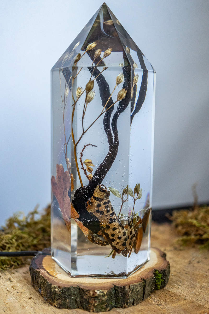 Fragment eines Waldbodens - Holzkeule trifft Kohlenbeere