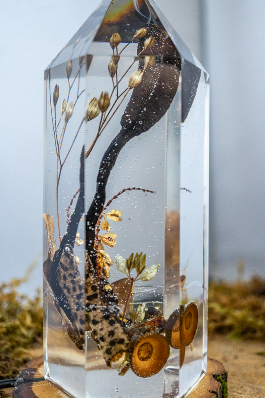 Fragment eines Waldbodens - Holzkeule trifft Kohlenbeere