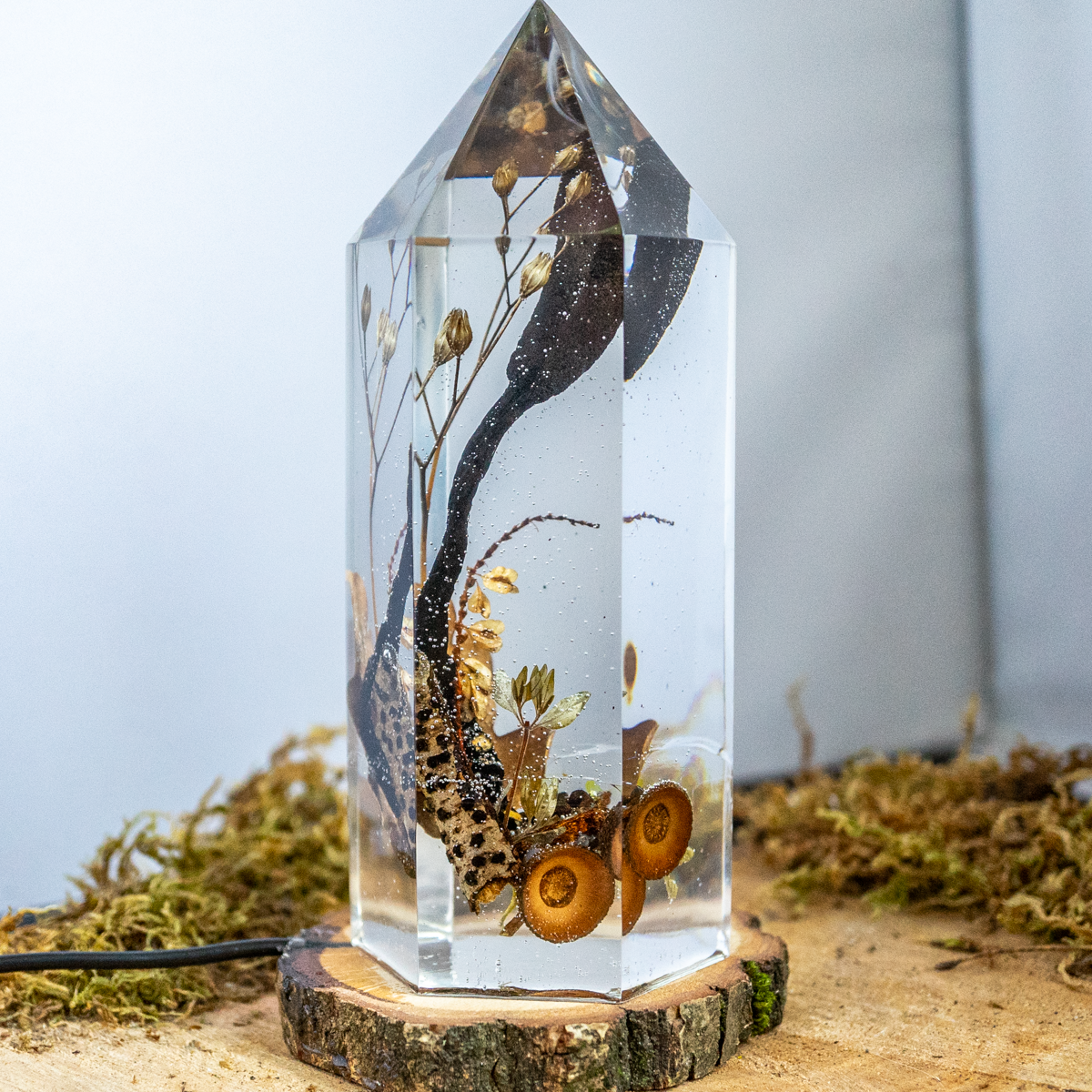 Fragment eines Waldbodens - Holzkeule trifft Kohlenbeere