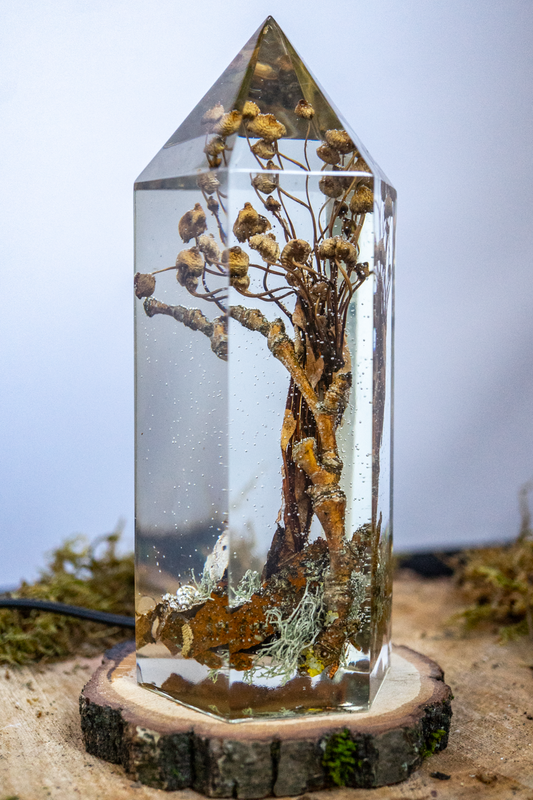 Das Gedächtnis des Bodens - Folgezersetzer in flüchtiger Aktion