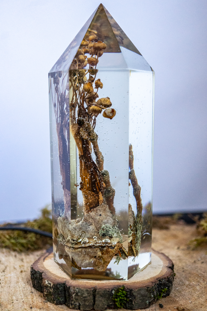 Das Gedächtnis des Bodens - Folgezersetzer in flüchtiger Aktion