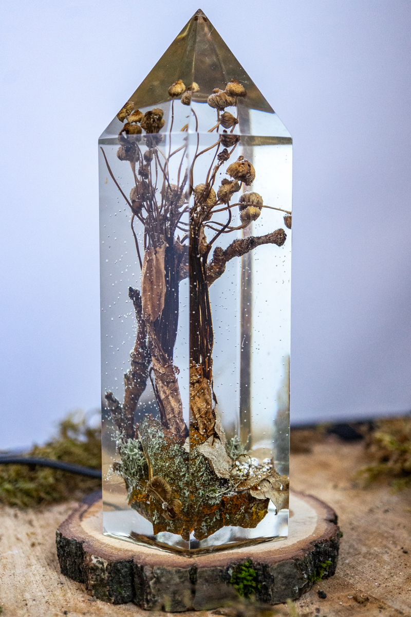 Das Gedächtnis des Bodens - Folgezersetzer in flüchtiger Aktion