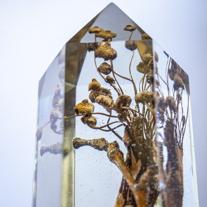 Das Gedächtnis des Bodens - Folgezersetzer in flüchtiger Aktion