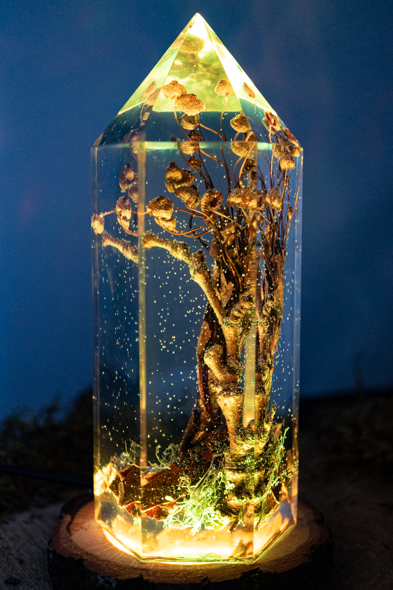 Das Gedächtnis des Bodens - Folgezersetzer in flüchtiger Aktion