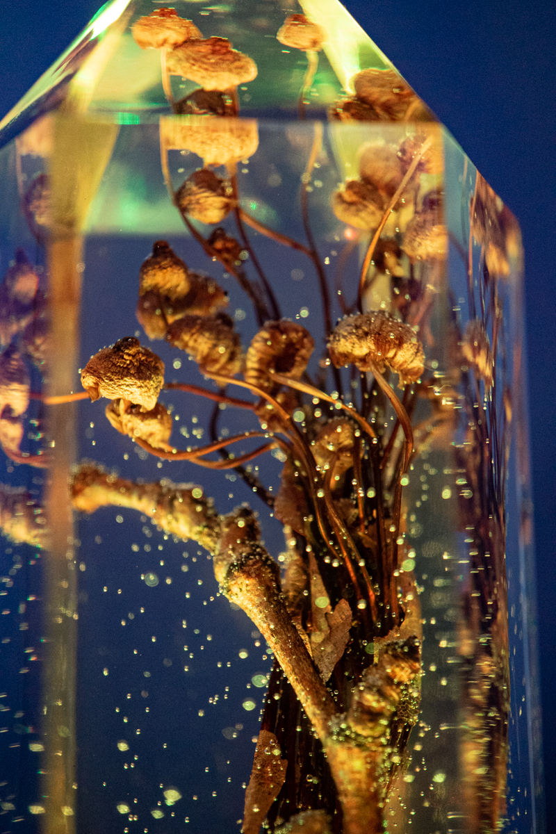 Das Gedächtnis des Bodens - Folgezersetzer in flüchtiger Aktion