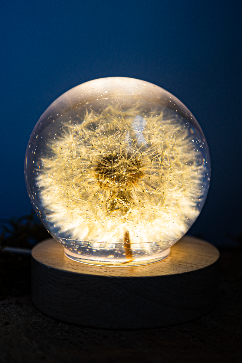 LED-Nachttischlampe mit Pusteblume <3