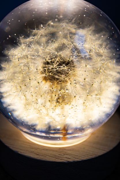 LED-Nachttischlampe mit Pusteblume <3