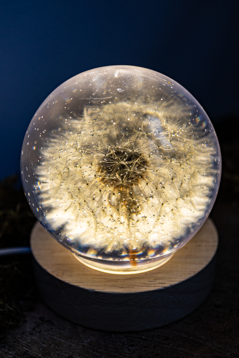 LED-Nachttischlampe mit Pusteblume <3