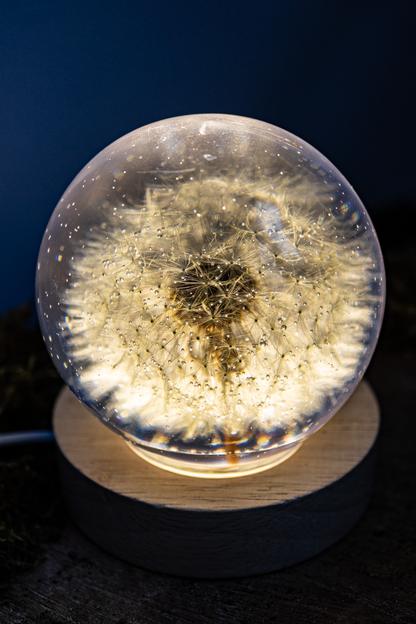 LED-Nachttischlampe mit Pusteblume <3