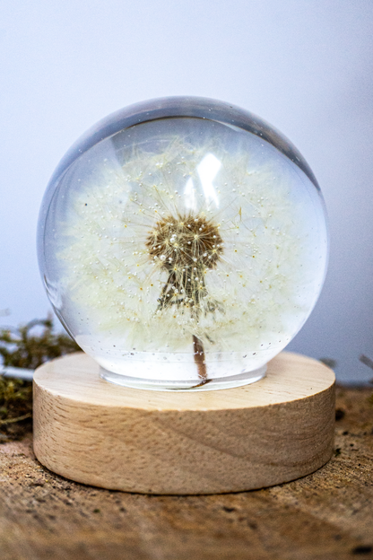 LED-Nachttischlampe mit Pusteblume <3