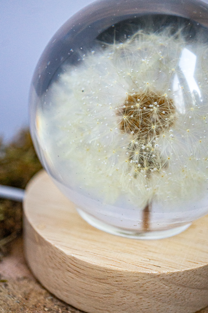 LED-Nachttischlampe mit Pusteblume <3