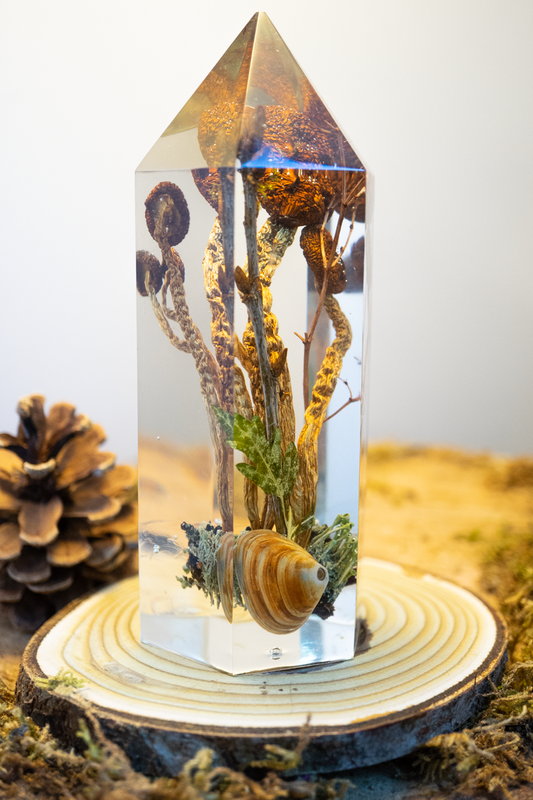 Fragile Archive - Südlicher Ackerling, Muschel & Knospen