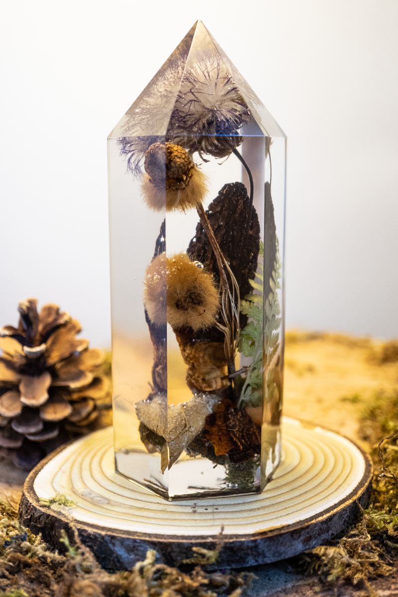 Die letzte Ernte - Morchel, Platanenpuschel & Distelblüte