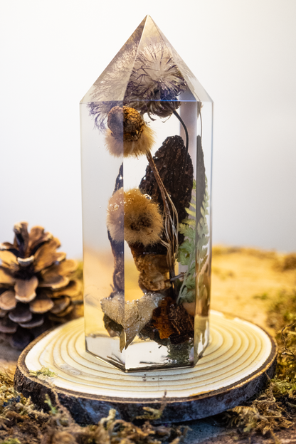 Die letzte Ernte - Morchel, Platanenpuschel & Distelblüte