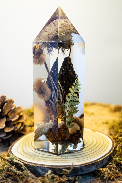 Die letzte Ernte - Morchel, Platanenpuschel & Distelblüte