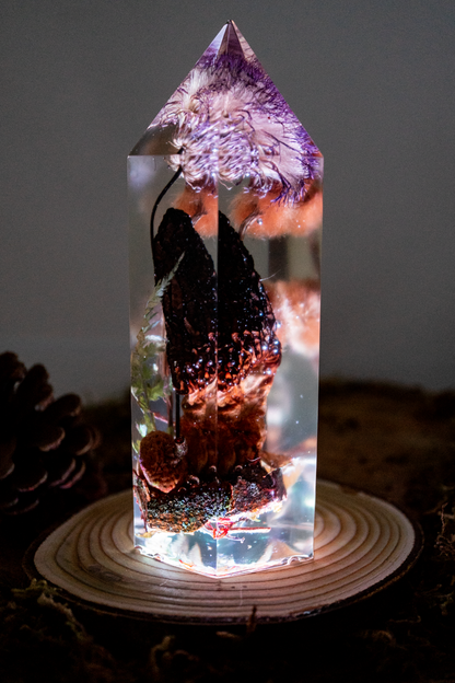 Die letzte Ernte - Morchel, Platanenpuschel & Distelblüte