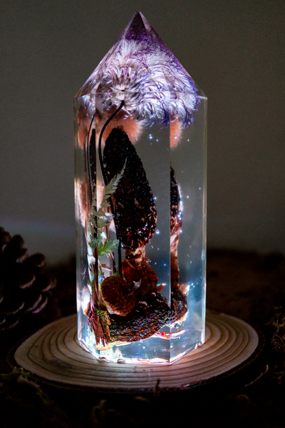 Die letzte Ernte - Morchel, Platanenpuschel & Distelblüte