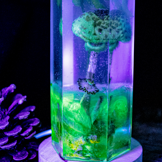 Reaktion und Widerstand - Riesenschirmling und Bartflechte