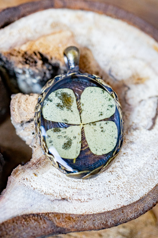 Glücksklee auf Baumscheibe