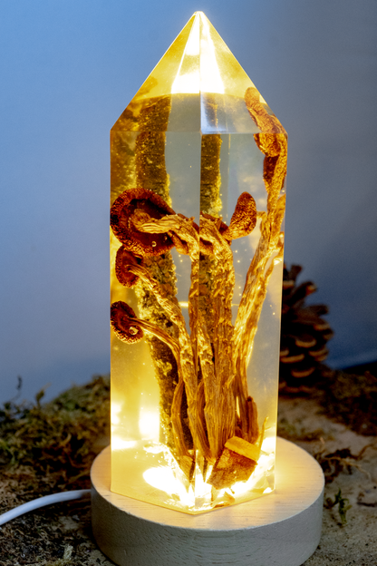 Chemie des Überlebens - Südlicher Ackerling & Buntflechte