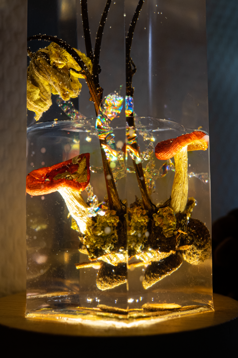 Mycelial Crystal III