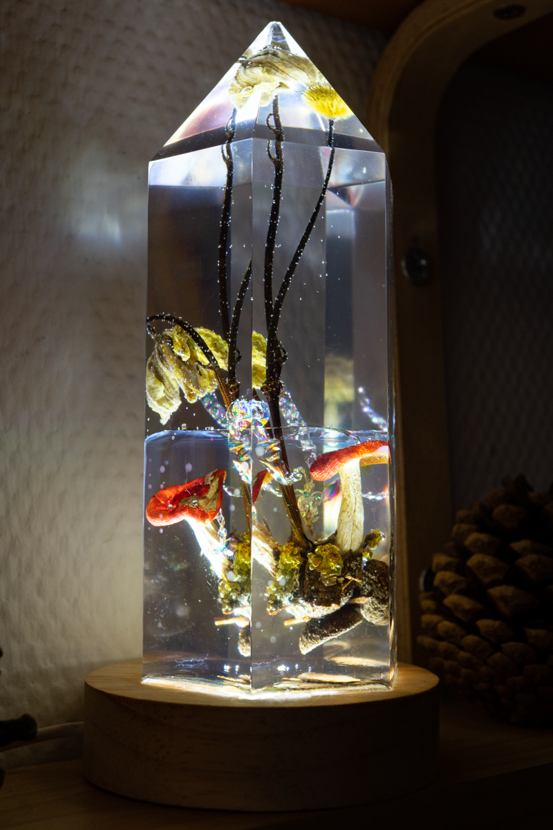 Mycelial Crystal III