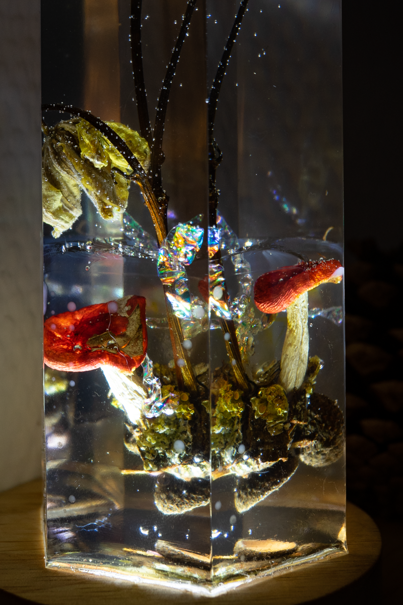 Mycelial Crystal III