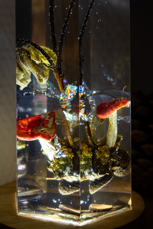 Mycelial Crystal III