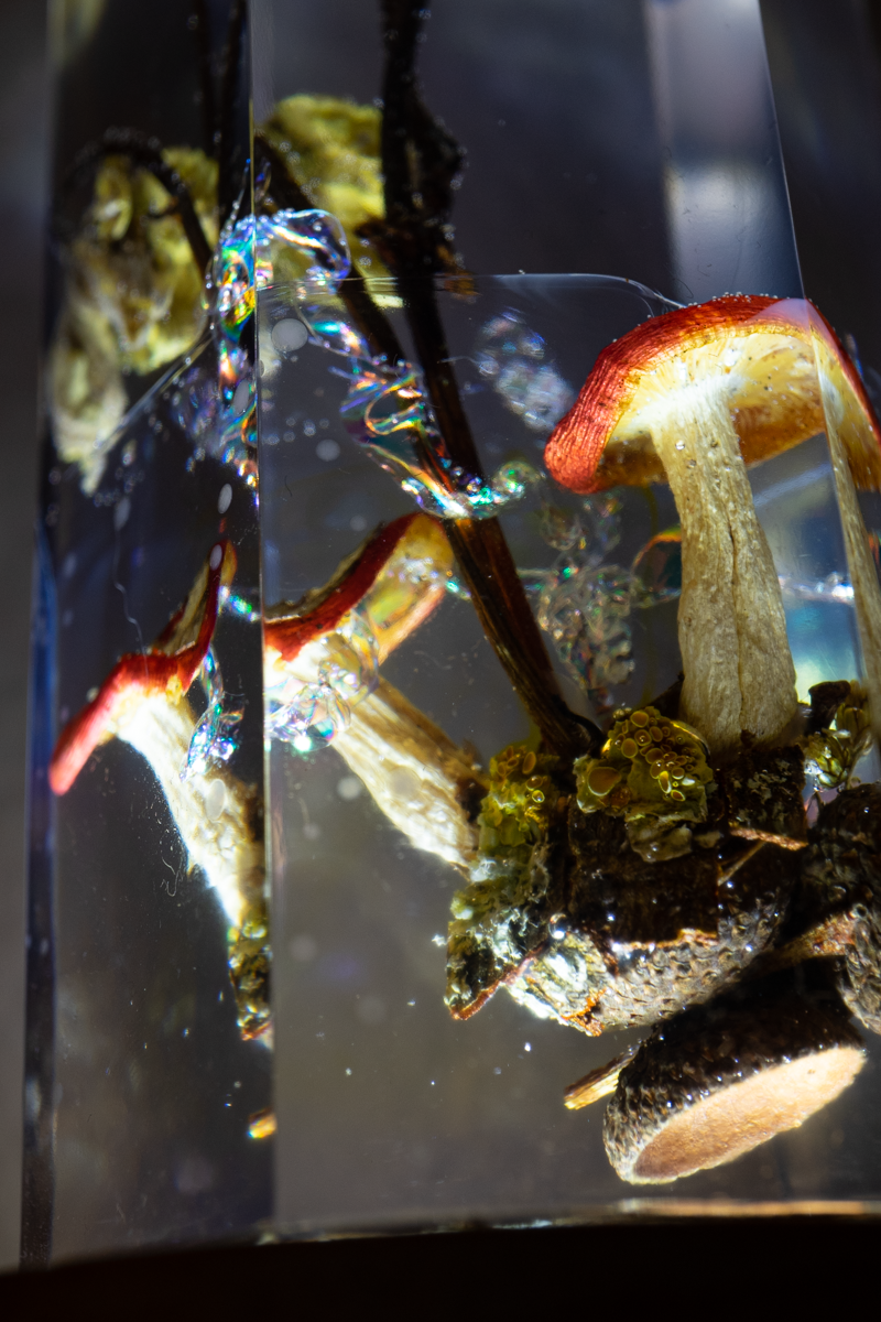 Mycelial Crystal III