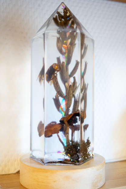 PRIVATE COLLECTION · Zwischen Blüte und Stachel – Nachtkerze, Pilze, Hornisse & Regenbogenlicht