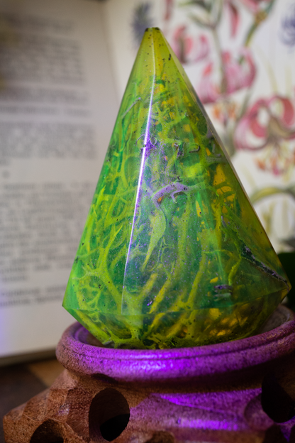 Unsichtbares Leuchten – UV-aktive Bartflechte