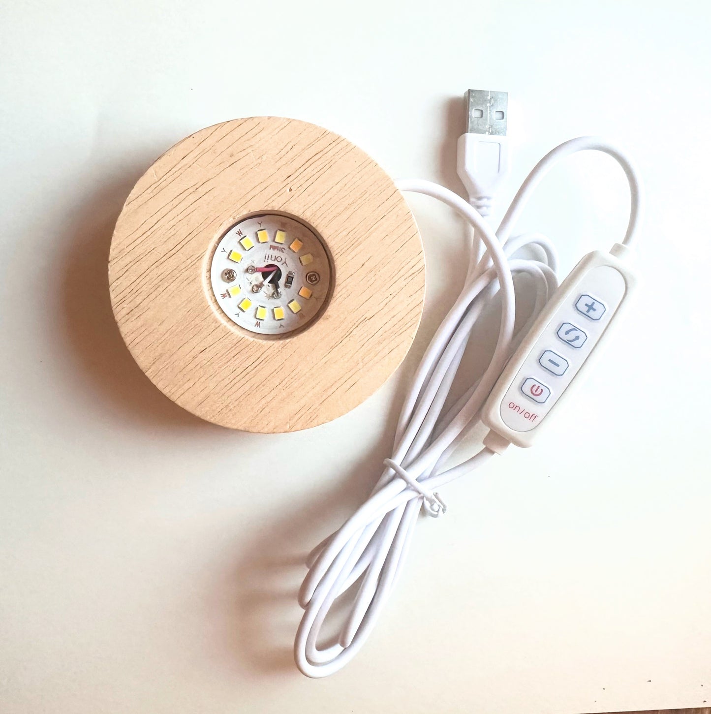 Fragment eines Waldbodens - Holzkeule trifft Kohlenbeere