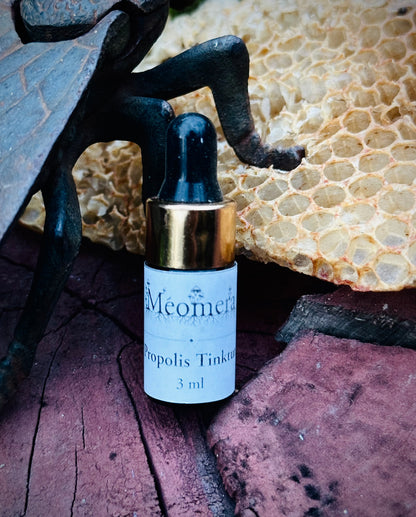 Propolis-Tinktur aus eigener Imkerei | 28,6 % Rohpropolis-Ansatz | 3–100 ml